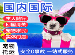 包头东河机场快运国际宠物托运 【国